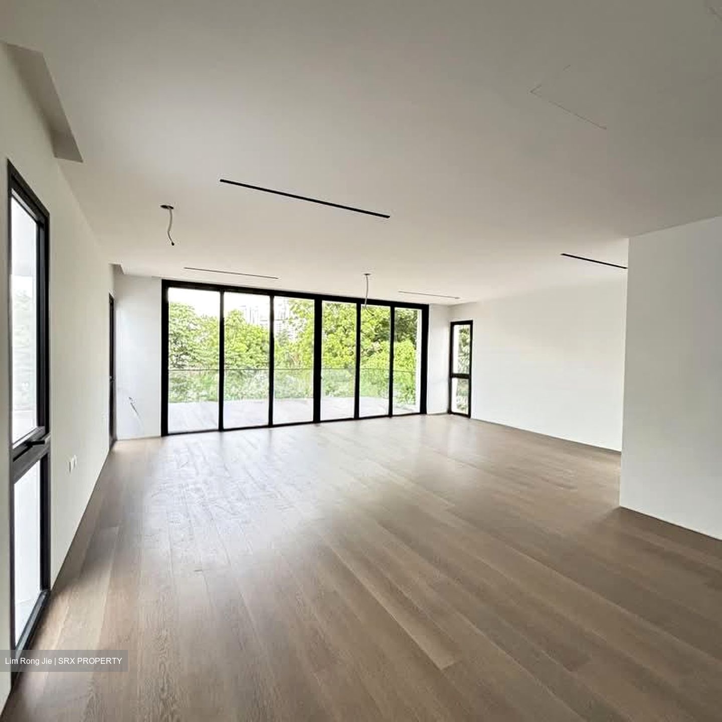 Holland Grove (D10), Detached #543742671